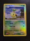 Turtwig