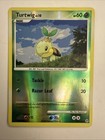 Turtwig