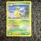 Turtwig