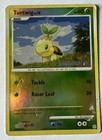 Turtwig