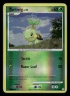 Turtwig