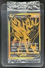 Zamazenta V