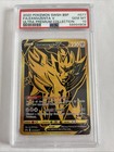 Zamazenta V