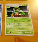 Torterra