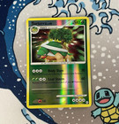 Torterra