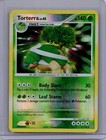 Torterra