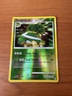 Torterra