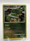Torterra