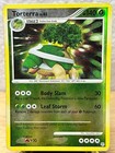 Torterra