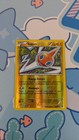 Rotom