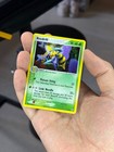 Beedrill
