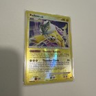 Raikou