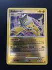Raikou