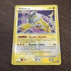 Raikou