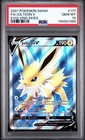 Jolteon V