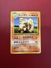 Arcanine