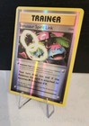 Venusaur Spirit Link
