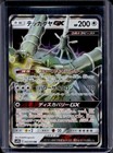 Celesteela GX