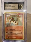 Rapidash