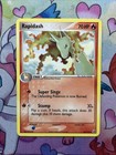 Rapidash