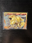 Arcanine BREAK