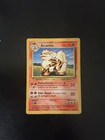 Arcanine