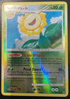 Sunflora