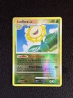 Sunflora
