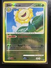 Sunflora