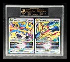 Zamazenta V