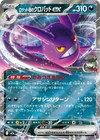 Mega Lucario ex