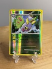 Dustox