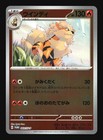 Arcanine 