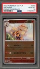 Arcanine 