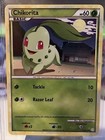 Chikorita