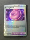 Binding Mochi