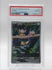 Aipom
