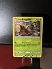 Alolan Exeggutor