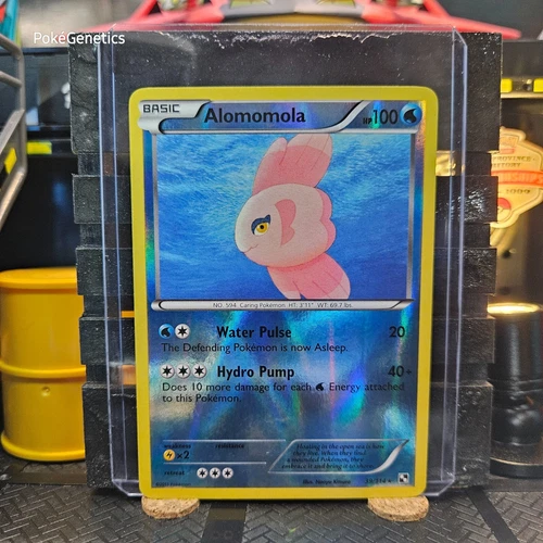 Alomomola