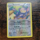 Ambipom