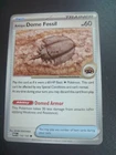 Antique Dome Fossil