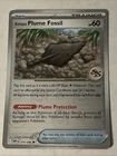 Antique Plume Fossil