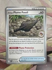 Antique Plume Fossil