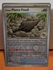 Antique Plume Fossil