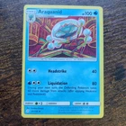 Araquanid