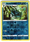 Araquanid