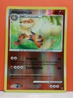 Arcanine