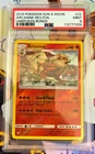 Arcanine