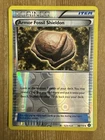 Armor Fossil Shieldon