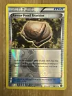 Armor Fossil Shieldon